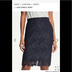 Ann Taylor Lace Pencil Skirt 8P. NWT